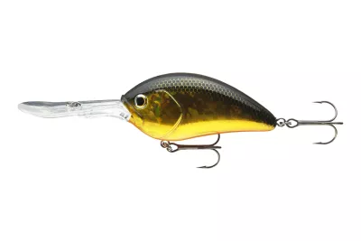 DAIWA Steez Crank 200F-MR artistic chart 5.4cm 10.6g Mini-Crankbait schwimmend Medium Deep Runner — 700F-DR 9.00 Black Gold