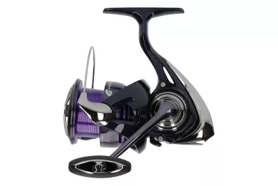 DAIWA 24 Prorex X LT 3000-CXH Spinnrolle — 2000