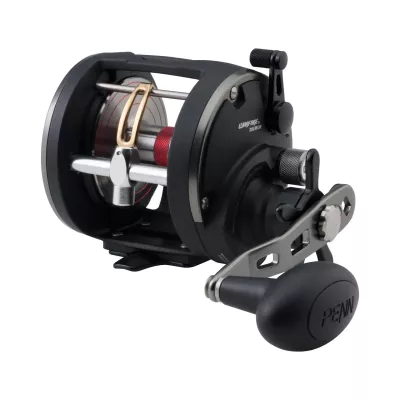 PENN Warfare 20 LW LH Multirolle zum Hochseefischen und Großfische — 30 LH