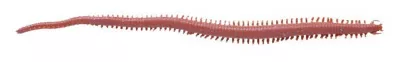 Berkley Gulp! Saltwater 15 cm 59 g Dark Brown - Gummifische,Twister — Dark Brown