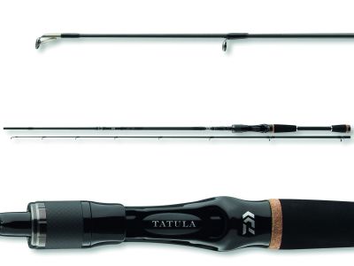 DAIWA Tatula BC 2.15m 8-35g Steckrute Cast — Cast 21 1.80