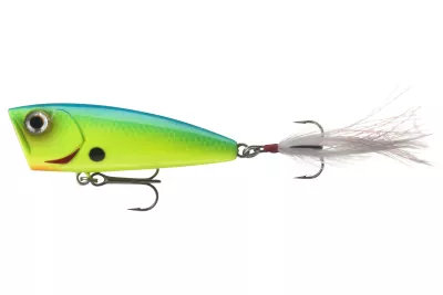 DAIWA Steez Popper 60F blue back chart 6.0cm 7.6g Popper schwimmend Top Water — 60F 6.00 blue back chart