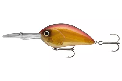 DAIWA Steez Crank 200F-MR artistic chart 5.4cm 10.6g Mini-Crankbait schwimmend Medium Deep Runner — 400F-DR 7.00 spawning ghost