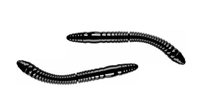 LIBRA LURES Fatty D'Worm Tournament 55 Cheese 031-olive 12st, Forellenköder, schwimmend und aromatisiert — 5.50 Black Cheese