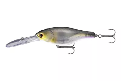 DAIWA Prorex Swift Crank 250 black gold 70mm 12.9g 1Stk. Wobbler — 7.00 ghost purple wakasagi