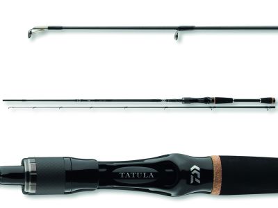 DAIWA Tatula BC 2.15m 8-35g Steckrute Cast — Cast 35 2.15