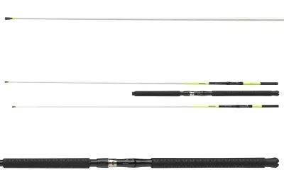 DAIWA Sealine X'Treme Interline Light 762MH 2tlg 100-250g 2.25m — Inliner 30 2.35