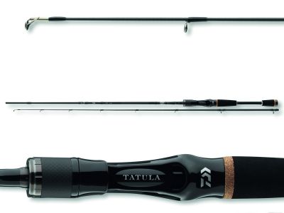 DAIWA Tatula BC 2.15m 8-35g Steckrute Cast — Cast 28 2.00