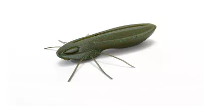NAYS BG 2.0 Inch C-05 5,1cm 3,2g 6st Gummifische Softbaits — 6.40 C-33