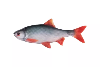 FOX RAGE Ultra Natural Roach Fillet 6cm 4st — 6.00 Roach