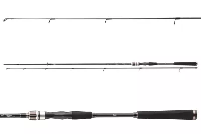 DAIWA Exceler Spin 902H 2tlg 40-80g 2.70m — Spin 50 3.00