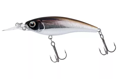 DAIWA Steez Shad 60SP-MR shirauo 6.0cm 6.7g Minnowbait schwebend Medium Deep Runner — 60SP-SR 6.00 wakasagi