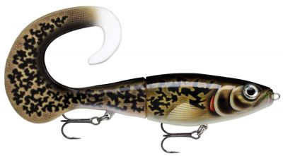 RAPALA X-Rap Otus Scaled Roach 17cm XROU17 SCRR — 17.0 ARB