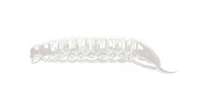 LIBRA LURES Goliath 30 Cheese 040-black 15st, Forellenköder, schwimmend und aromatisiert — 3.00 Silver Pearl Cheese