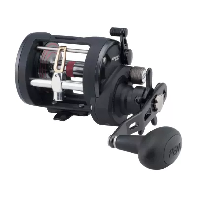 PENN Warfare 20 LW LH Multirolle zum Hochseefischen und Großfische — 20 LH